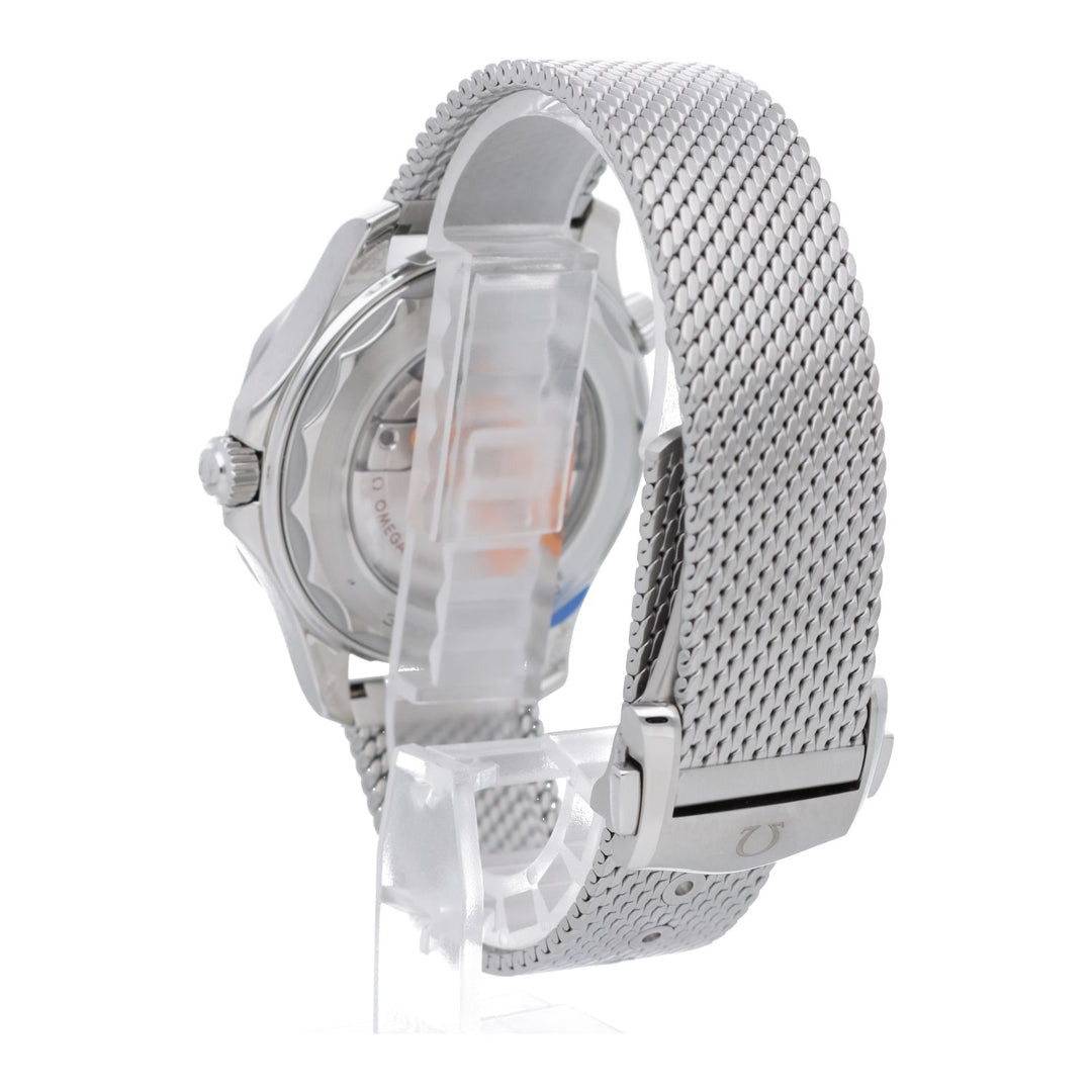 OMEGA 海马潜水表 300M 同轴大师计时码表 42mm