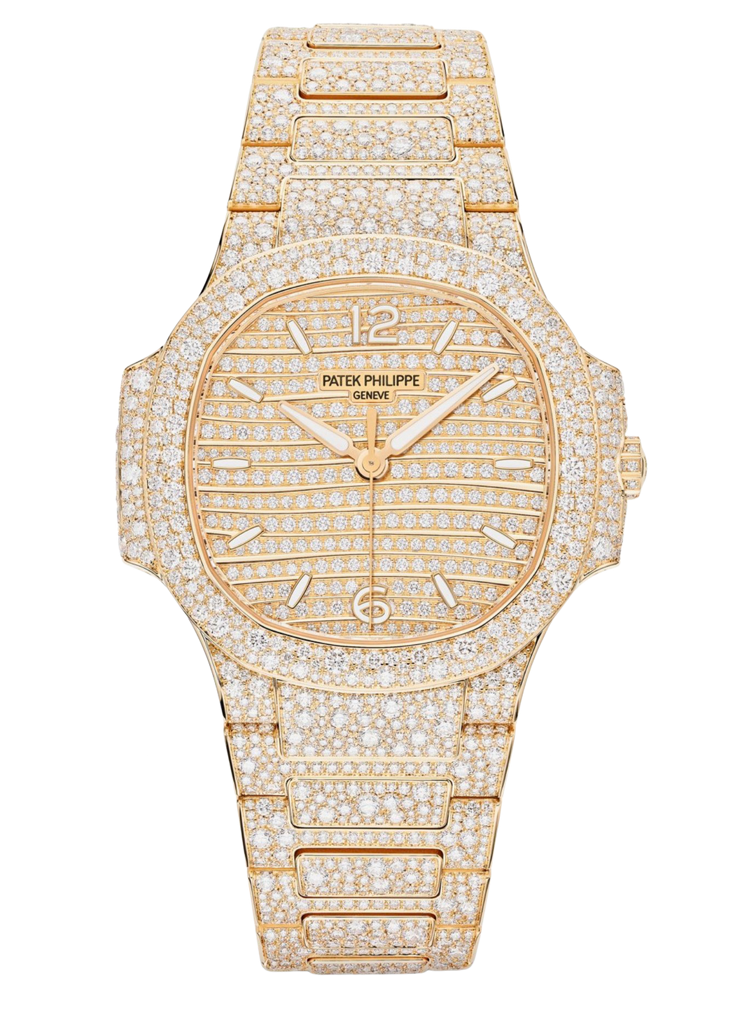 百达翡丽鹦鹉螺