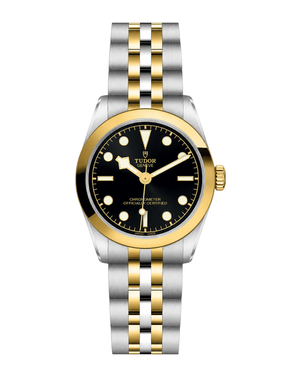 Tudor Black Bay One 31 S&G
