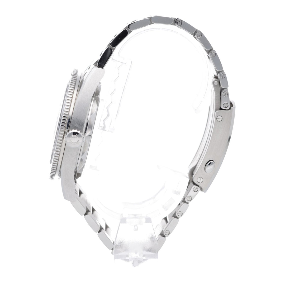 Omega Seamaster 300 Co‑Axial Master Chronometer 41 mm