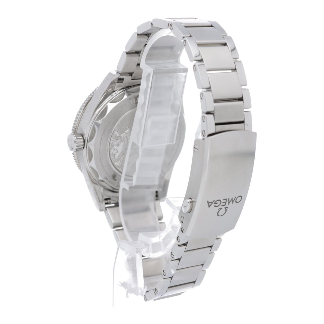 Omega Seamaster 300 Co‑Axial Master Chronometer 41 mm