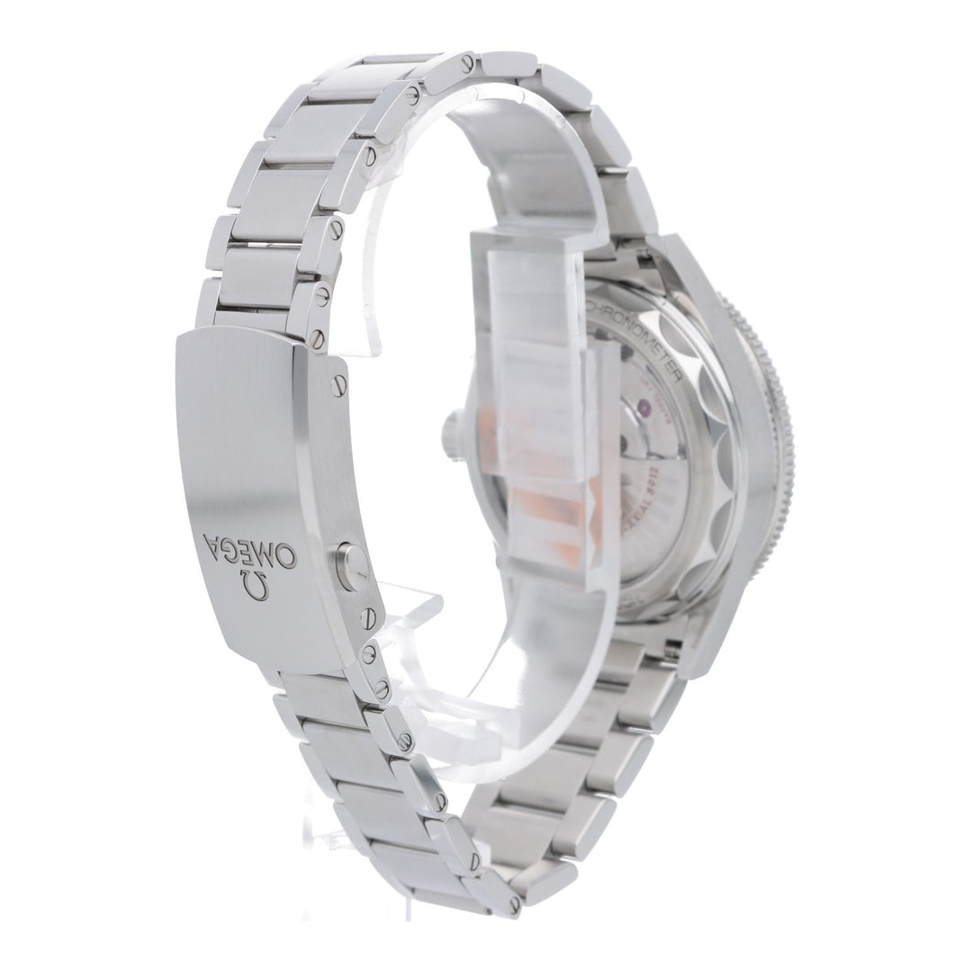 Omega Seamaster 300 Co‑Axial Master Chronometer 41mm