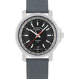 Mühle-Glashütte 29er Big GMT