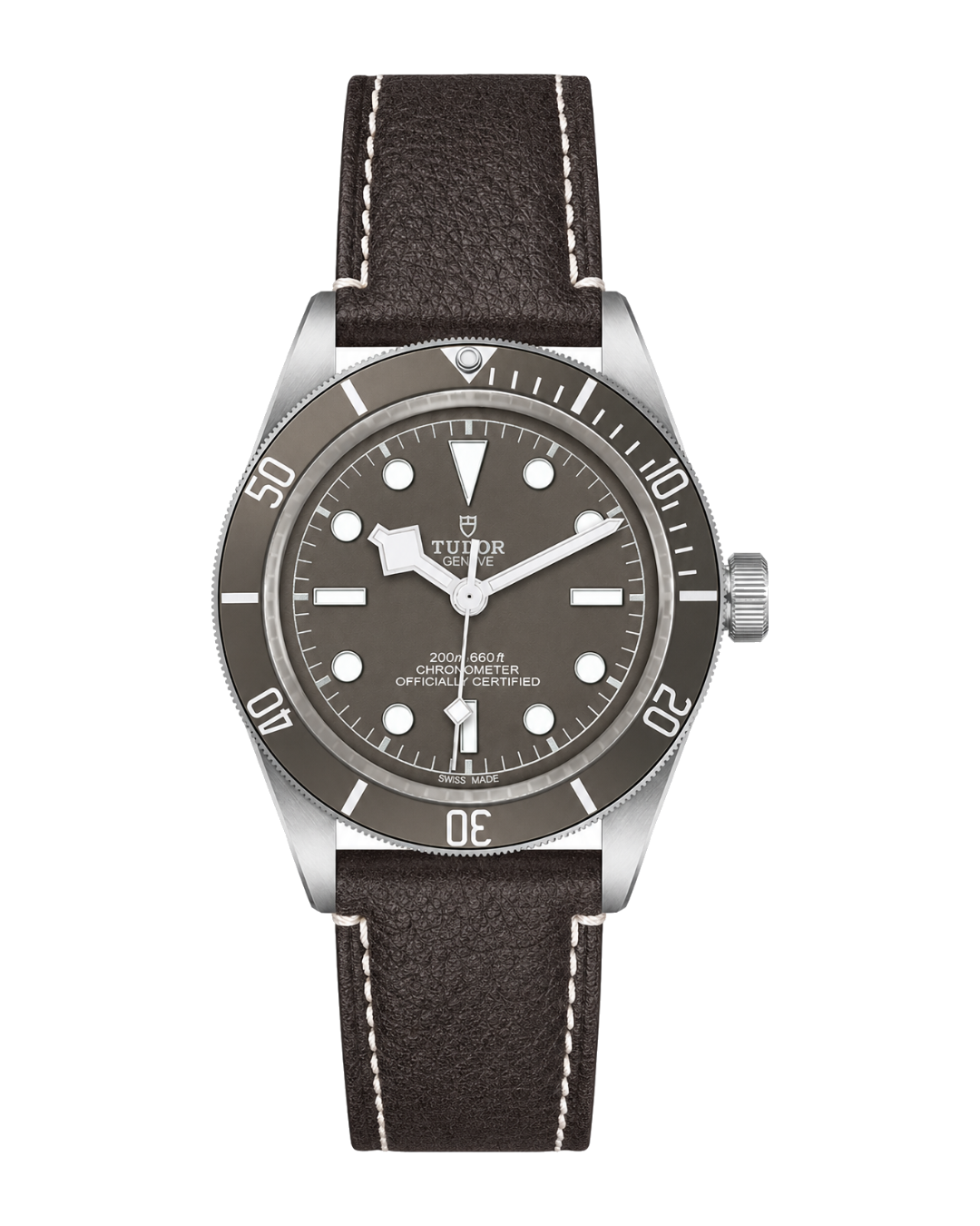 Tudor Black Bay 58 Ref. M79010SG-0001