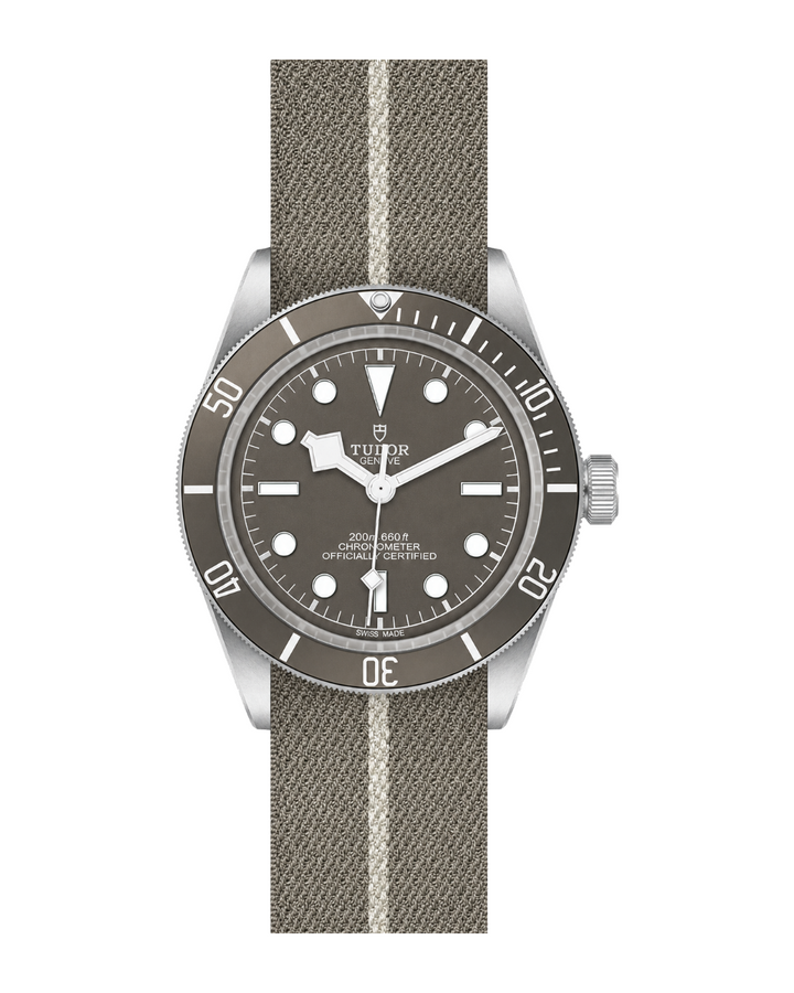 Tudor Black Bay 58 925 Ref. M79010SG-0002