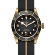 Tudor Black Bay Bronze