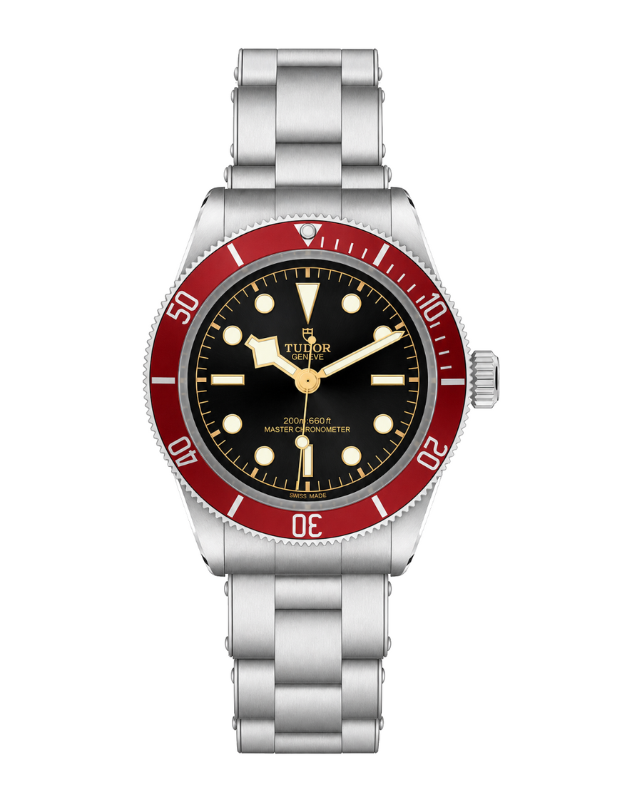 Tudor Black Bay