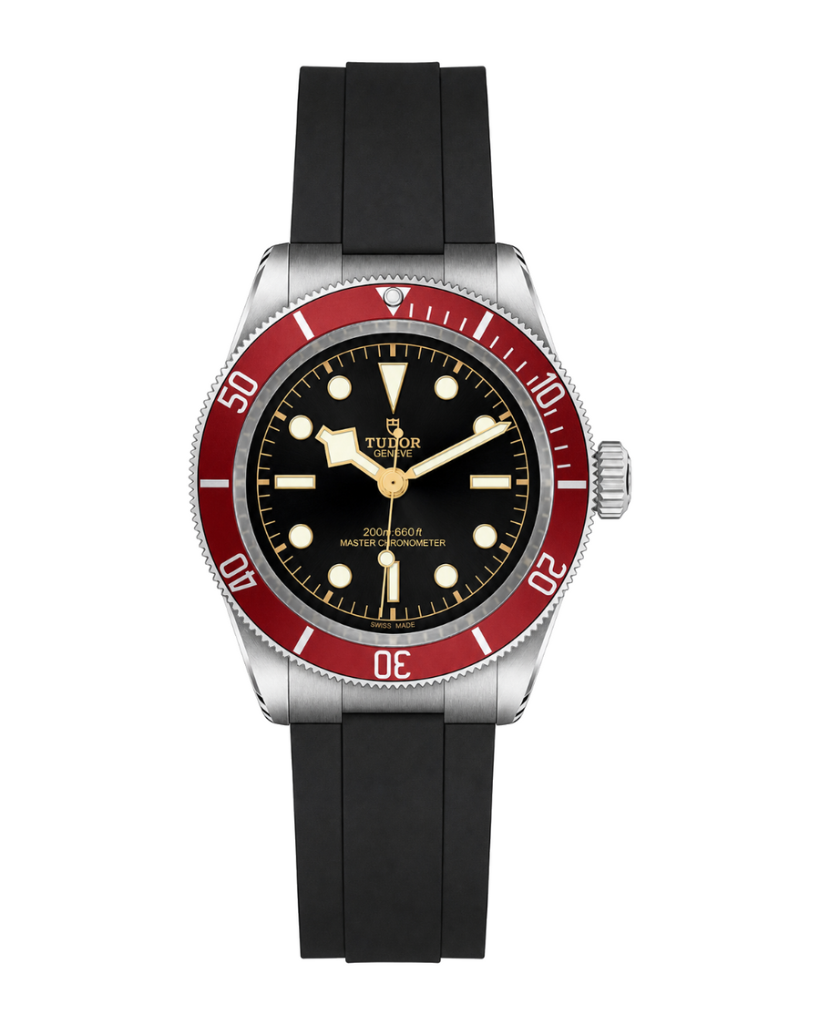 Tudor Black Bay