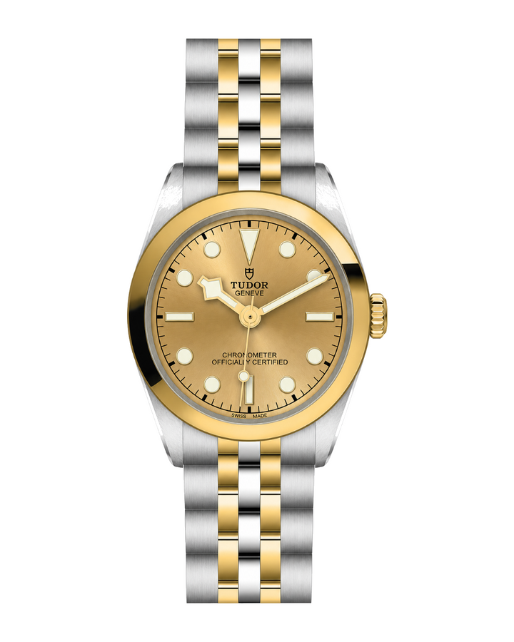 Tudor Black Bay One 31 S&G Ref. M79603-0005