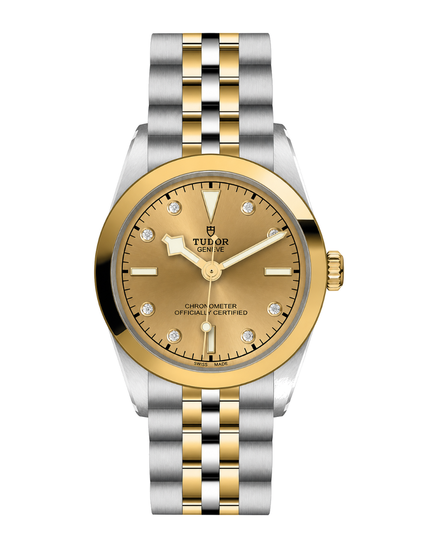Tudor Black Bay One 31 S&G