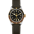Tudor Black Bay GMT S&G
