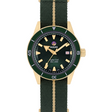 Rado Captain Cook Automatic Bronze