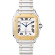 Cartier Santos de Cartier