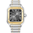 Cartier Santos de Cartier