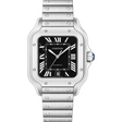 Cartier Santos de Cartier